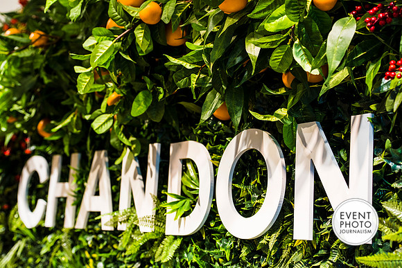 0386__6-11-22__PSP-Media-Chandon-Garden-Spritz-Georgetown-EventPhotojournalism-event-photographers-DC