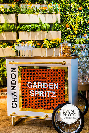 0433__6-11-22__PSP-Media-Chandon-Garden-Spritz-Georgetown-EventPhotojournalism-event-photographers-DC