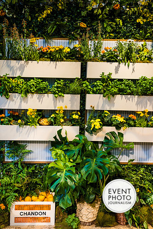 0170__6-11-22__PSP-Media-Chandon-Garden-Spritz-Georgetown-EventPhotojournalism-event-photographers-DC