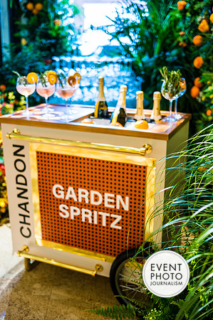 0235__6-11-22__PSP-Media-Chandon-Garden-Spritz-Georgetown-EventPhotojournalism-event-photographers-DC