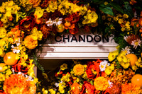 0009__6-11-22__PSP-Media-Chandon-Garden-Spritz-Georgetown-EventPhotojournalism-event-photographers-DC