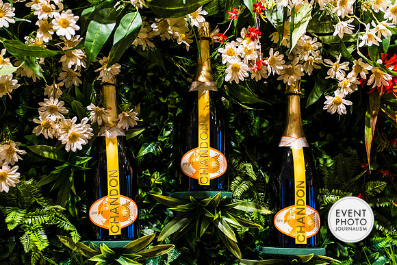 0288__6-11-22__PSP-Media-Chandon-Garden-Spritz-Georgetown-EventPhotojournalism-event-photographers-DC
