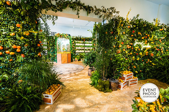 0403__6-11-22__PSP-Media-Chandon-Garden-Spritz-Georgetown-EventPhotojournalism-event-photographers-DC