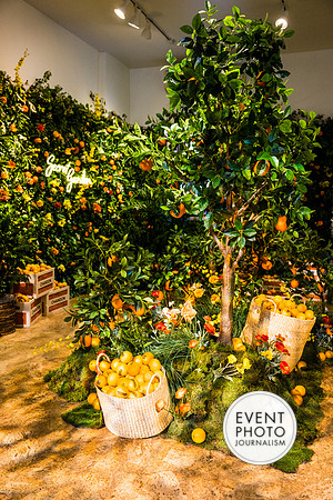 0092__6-11-22__PSP-Media-Chandon-Garden-Spritz-Georgetown-EventPhotojournalism-event-photographers-DC