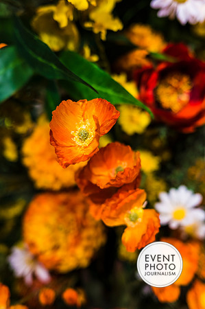 0025__6-11-22__PSP-Media-Chandon-Garden-Spritz-Georgetown-EventPhotojournalism-event-photographers-DC