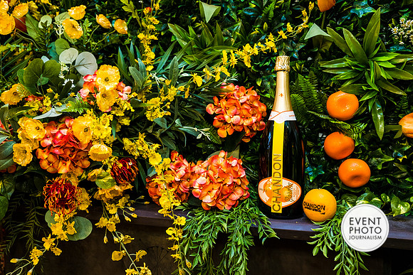 0320__6-11-22__PSP-Media-Chandon-Garden-Spritz-Georgetown-EventPhotojournalism-event-photographers-DC