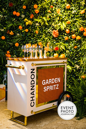 0146__6-11-22__PSP-Media-Chandon-Garden-Spritz-Georgetown-EventPhotojournalism-event-photographers-DC