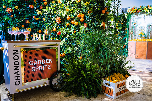 0473__6-11-22__PSP-Media-Chandon-Garden-Spritz-Georgetown-EventPhotojournalism-event-photographers-DC
