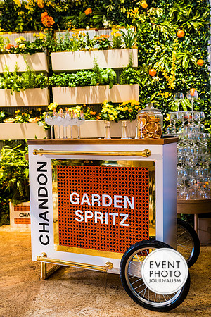 0432__6-11-22__PSP-Media-Chandon-Garden-Spritz-Georgetown-EventPhotojournalism-event-photographers-DC