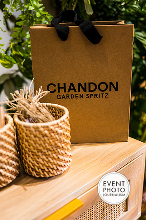 0215__6-11-22__PSP-Media-Chandon-Garden-Spritz-Georgetown-EventPhotojournalism-event-photographers-DC