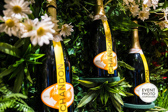 0039__6-11-22__PSP-Media-Chandon-Garden-Spritz-Georgetown-EventPhotojournalism-event-photographers-DC