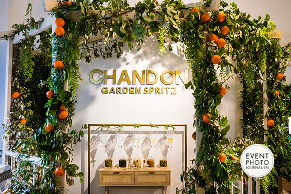 0454__6-11-22__PSP-Media-Chandon-Garden-Spritz-Georgetown-EventPhotojournalism-event-photographers-DC