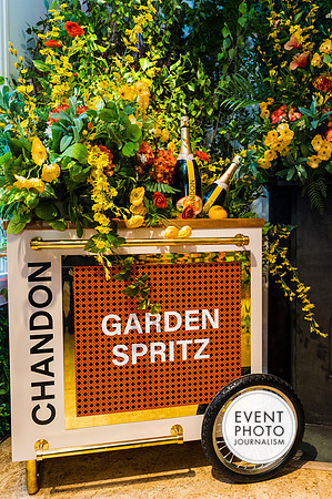 0301__6-11-22__PSP-Media-Chandon-Garden-Spritz-Georgetown-EventPhotojournalism-event-photographers-DC