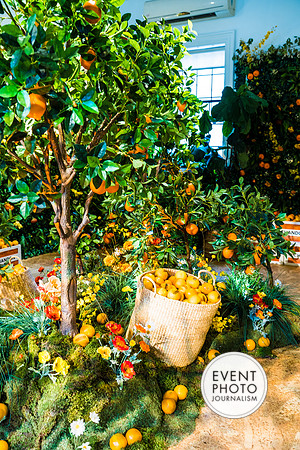 0389__6-11-22__PSP-Media-Chandon-Garden-Spritz-Georgetown-EventPhotojournalism-event-photographers-DC