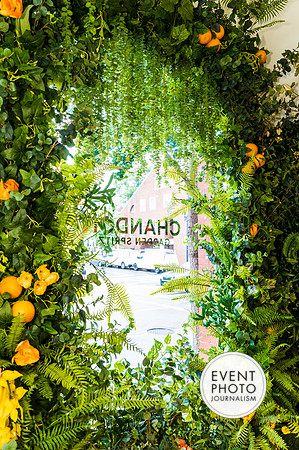 0360__6-11-22__PSP-Media-Chandon-Garden-Spritz-Georgetown-EventPhotojournalism-event-photographers-DC