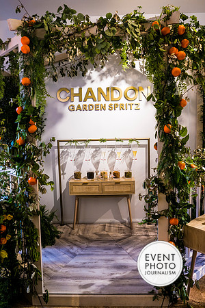 0456__6-11-22__PSP-Media-Chandon-Garden-Spritz-Georgetown-EventPhotojournalism-event-photographers-DC
