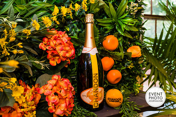 0304__6-11-22__PSP-Media-Chandon-Garden-Spritz-Georgetown-EventPhotojournalism-event-photographers-DC