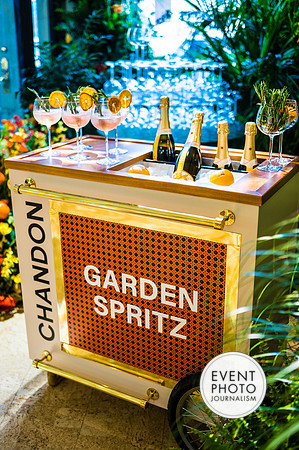 0234__6-11-22__PSP-Media-Chandon-Garden-Spritz-Georgetown-EventPhotojournalism-event-photographers-DC
