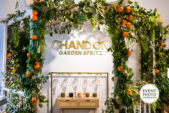 0453__6-11-22__PSP-Media-Chandon-Garden-Spritz-Georgetown-EventPhotojournalism-event-photographers-DC