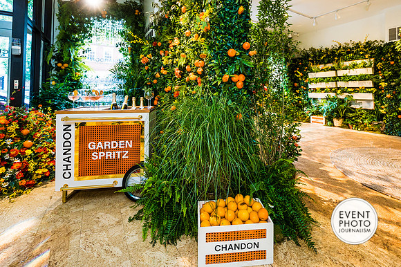 0406__6-11-22__PSP-Media-Chandon-Garden-Spritz-Georgetown-EventPhotojournalism-event-photographers-DC