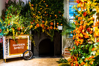 0016__6-11-22__PSP-Media-Chandon-Garden-Spritz-Georgetown-EventPhotojournalism-event-photographers-DC