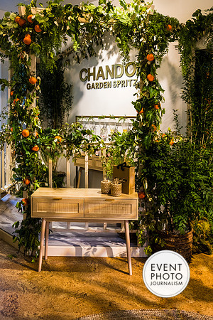 0076__6-11-22__PSP-Media-Chandon-Garden-Spritz-Georgetown-EventPhotojournalism-event-photographers-DC