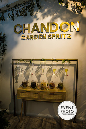0195__6-11-22__PSP-Media-Chandon-Garden-Spritz-Georgetown-EventPhotojournalism-event-photographers-DC