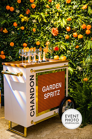 0145__6-11-22__PSP-Media-Chandon-Garden-Spritz-Georgetown-EventPhotojournalism-event-photographers-DC