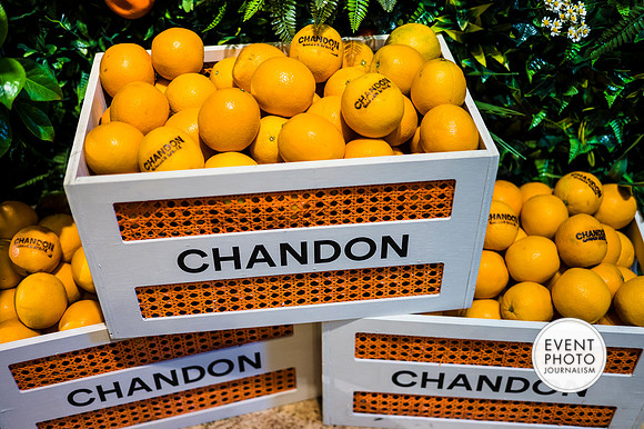 0217__6-11-22__PSP-Media-Chandon-Garden-Spritz-Georgetown-EventPhotojournalism-event-photographers-DC