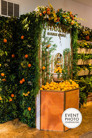 0275__6-11-22__PSP-Media-Chandon-Garden-Spritz-Georgetown-EventPhotojournalism-event-photographers-DC