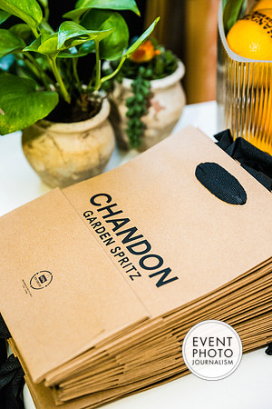 0159__6-11-22__PSP-Media-Chandon-Garden-Spritz-Georgetown-EventPhotojournalism-event-photographers-DC