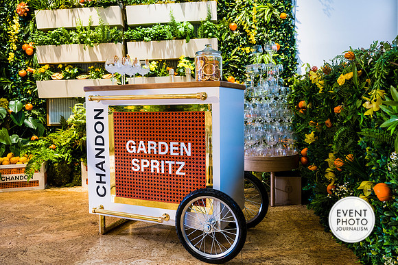 0449__6-11-22__PSP-Media-Chandon-Garden-Spritz-Georgetown-EventPhotojournalism-event-photographers-DC