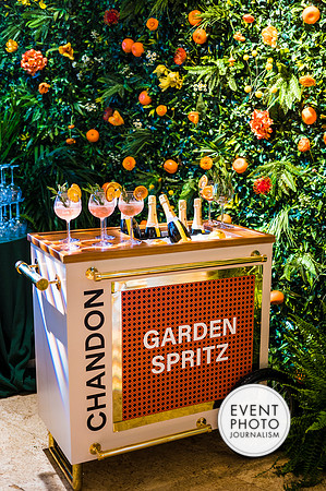 0227__6-11-22__PSP-Media-Chandon-Garden-Spritz-Georgetown-EventPhotojournalism-event-photographers-DC