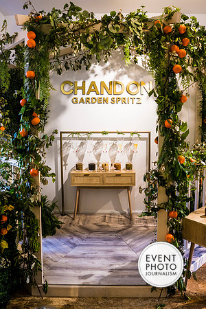 0455__6-11-22__PSP-Media-Chandon-Garden-Spritz-Georgetown-EventPhotojournalism-event-photographers-DC