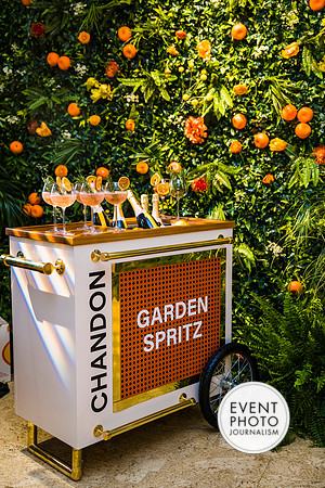 0240__6-11-22__PSP-Media-Chandon-Garden-Spritz-Georgetown-EventPhotojournalism-event-photographers-DC