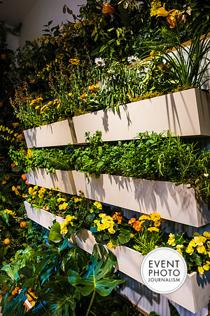 0049__6-11-22__PSP-Media-Chandon-Garden-Spritz-Georgetown-EventPhotojournalism-event-photographers-DC
