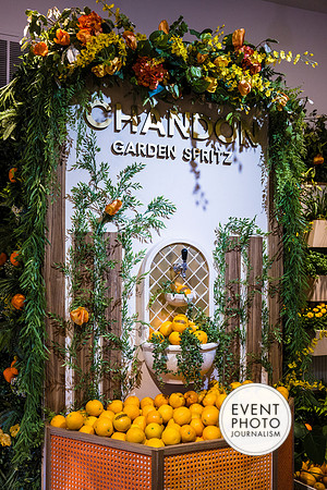 0045__6-11-22__PSP-Media-Chandon-Garden-Spritz-Georgetown-EventPhotojournalism-event-photographers-DC