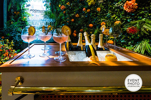 0399__6-11-22__PSP-Media-Chandon-Garden-Spritz-Georgetown-EventPhotojournalism-event-photographers-DC