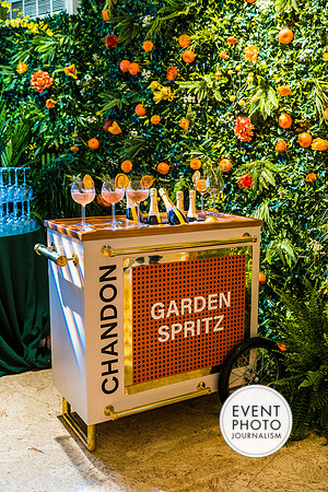 0267__6-11-22__PSP-Media-Chandon-Garden-Spritz-Georgetown-EventPhotojournalism-event-photographers-DC