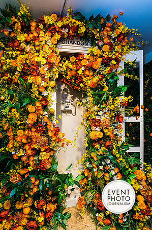 0111__6-11-22__PSP-Media-Chandon-Garden-Spritz-Georgetown-EventPhotojournalism-event-photographers-DC