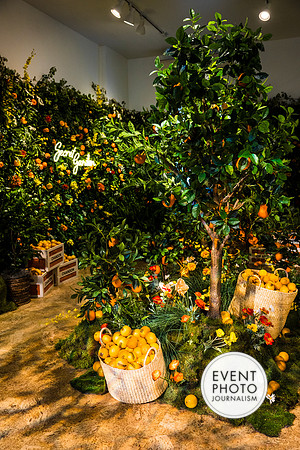 0091__6-11-22__PSP-Media-Chandon-Garden-Spritz-Georgetown-EventPhotojournalism-event-photographers-DC