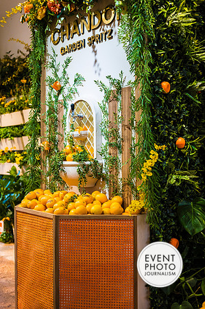 0067__6-11-22__PSP-Media-Chandon-Garden-Spritz-Georgetown-EventPhotojournalism-event-photographers-DC