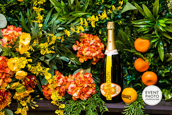 0322__6-11-22__PSP-Media-Chandon-Garden-Spritz-Georgetown-EventPhotojournalism-event-photographers-DC