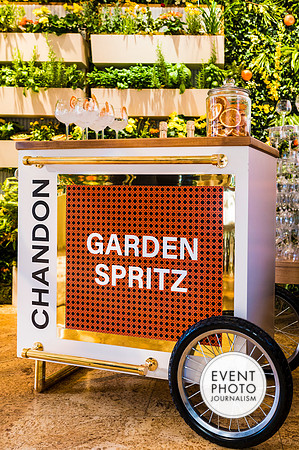 0440__6-11-22__PSP-Media-Chandon-Garden-Spritz-Georgetown-EventPhotojournalism-event-photographers-DC