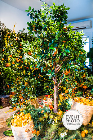0394__6-11-22__PSP-Media-Chandon-Garden-Spritz-Georgetown-EventPhotojournalism-event-photographers-DC