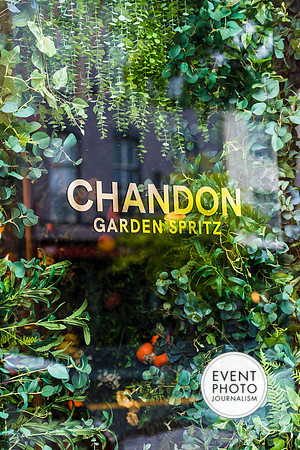 0380__6-11-22__PSP-Media-Chandon-Garden-Spritz-Georgetown-EventPhotojournalism-event-photographers-DC