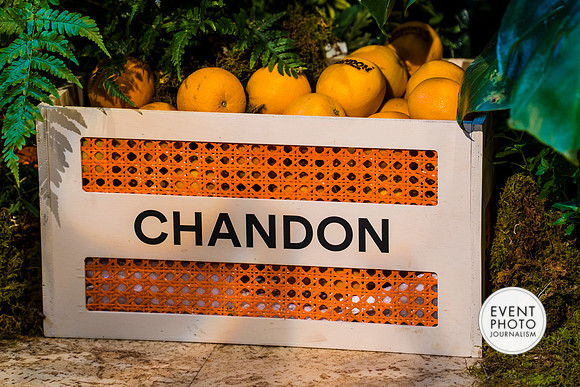 0277__6-11-22__PSP-Media-Chandon-Garden-Spritz-Georgetown-EventPhotojournalism-event-photographers-DC