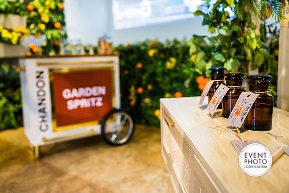 0447__6-11-22__PSP-Media-Chandon-Garden-Spritz-Georgetown-EventPhotojournalism-event-photographers-DC