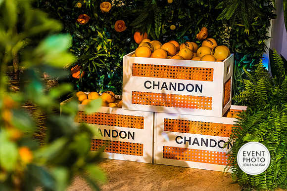 0261__6-11-22__PSP-Media-Chandon-Garden-Spritz-Georgetown-EventPhotojournalism-event-photographers-DC