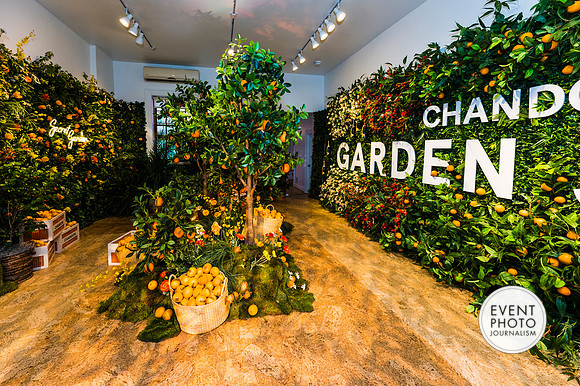 0093__6-11-22__PSP-Media-Chandon-Garden-Spritz-Georgetown-EventPhotojournalism-event-photographers-DC